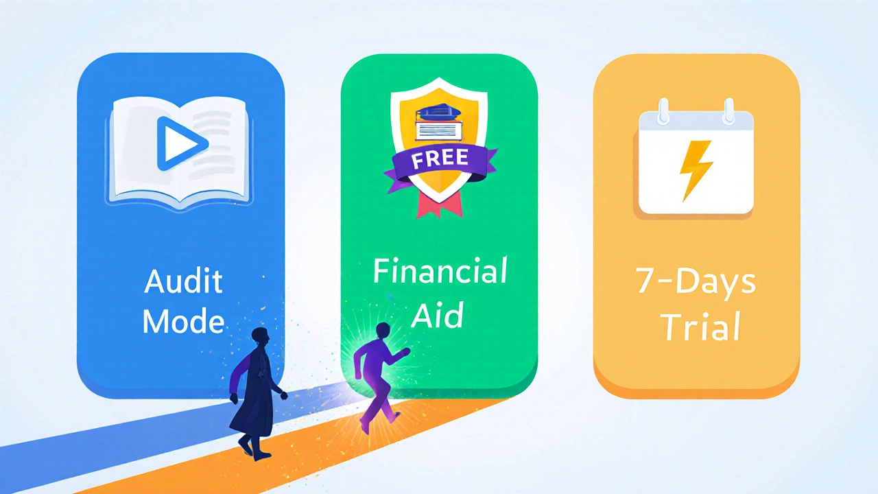 Flat‑design graphic showing three icons representing audit, financial aid, and trial paths.